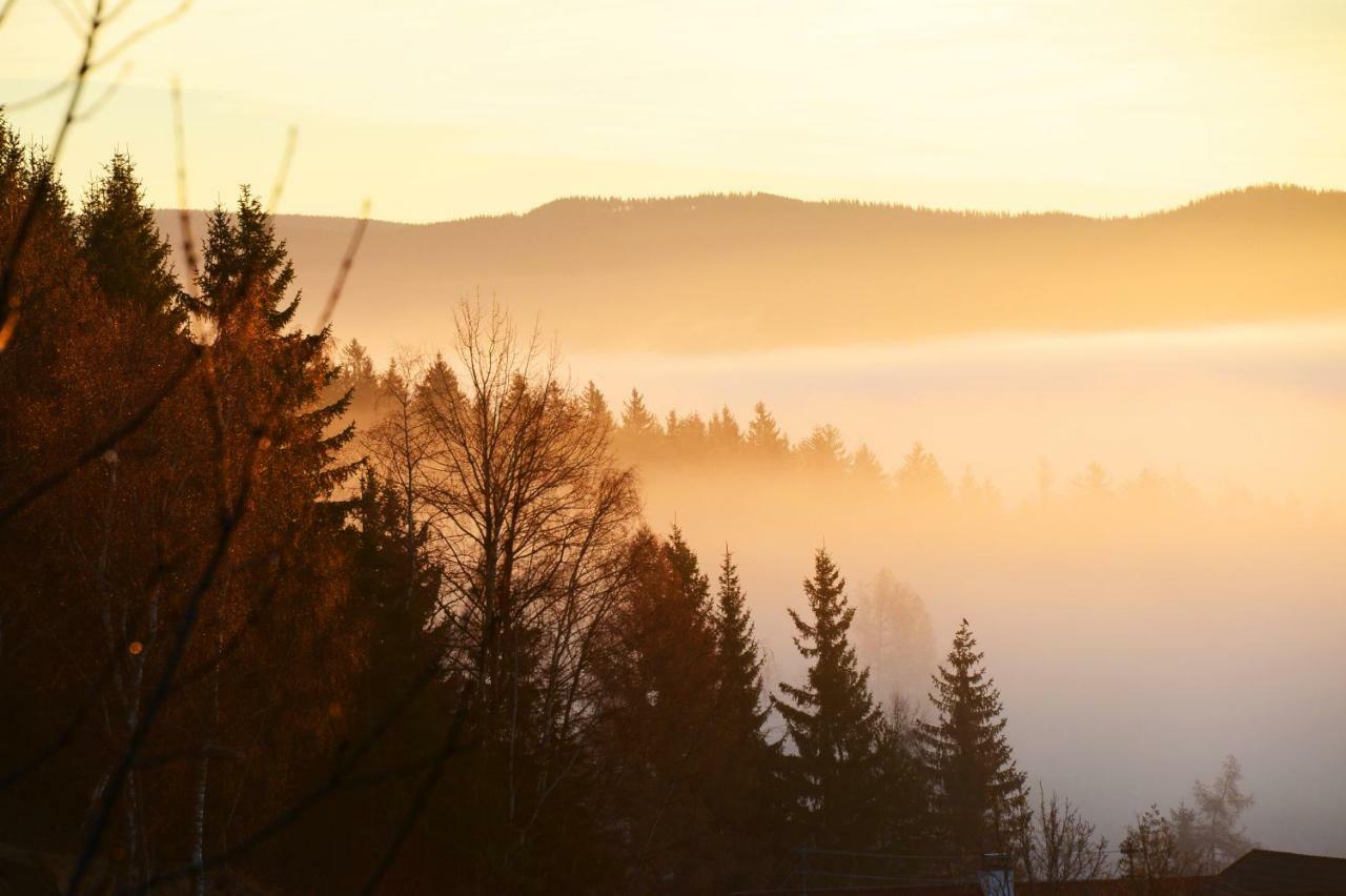 Gluehwuermchenhuette Villa Ratten Kültér fotó